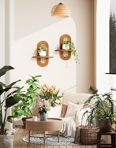 Hongsane Floating Shelves for Wall Boho Home Wall DecorRattan Plant Shelf Set of 2 Mid Century Small Decorative Shelf Natural Wood Shelves for Living RoomBedroomHouseOffice Walnut - Image 3