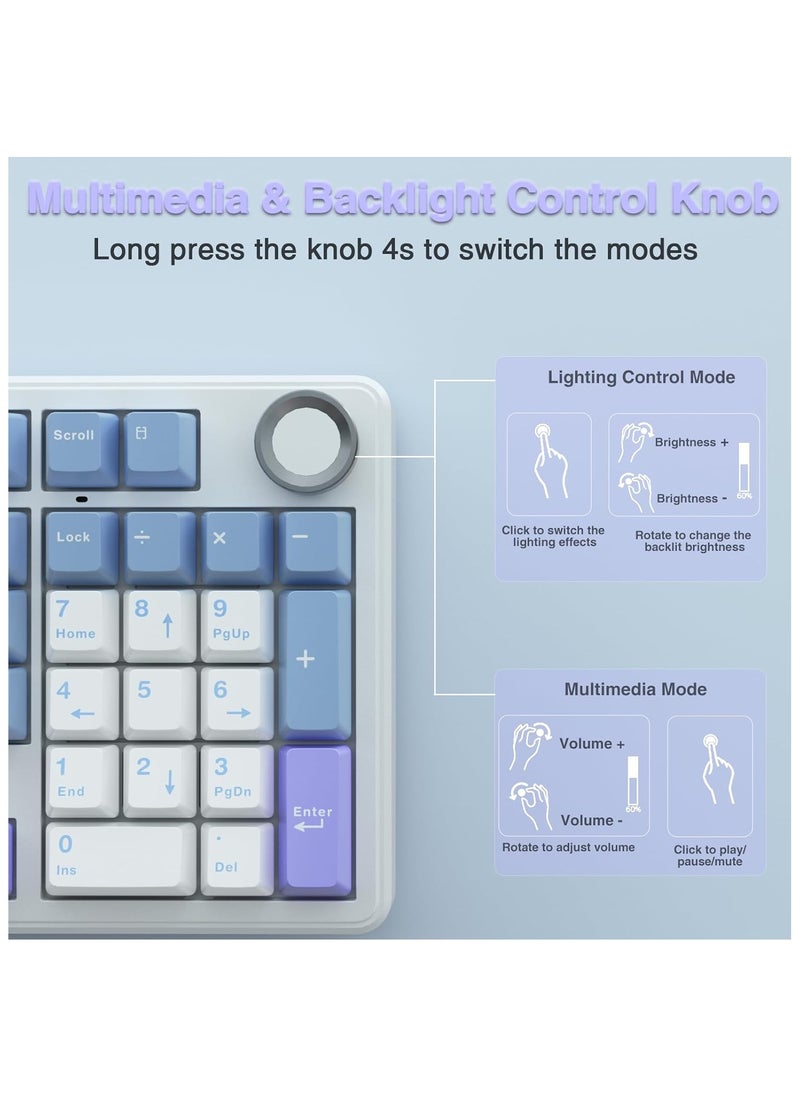 AULA F99 Pro Wireless Mechanical Keyboard with Knob,Tri-Mode BT5.0/USB-C/2.4GHz Hot Swappable Keyboard,Pre-lubed Switches,Gasket Structure,RGB Backlit Computer Gaming Keyboard (White&Blue&Purple - Greywoodshaft V3)