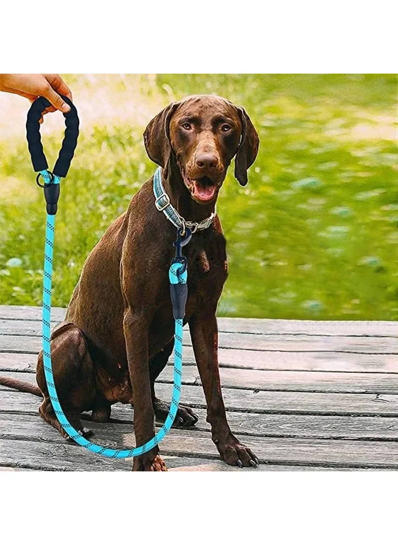 Lisinya Reflective Phosphorescent Dog Walking Rope Leash with Metal Hook 130 cm