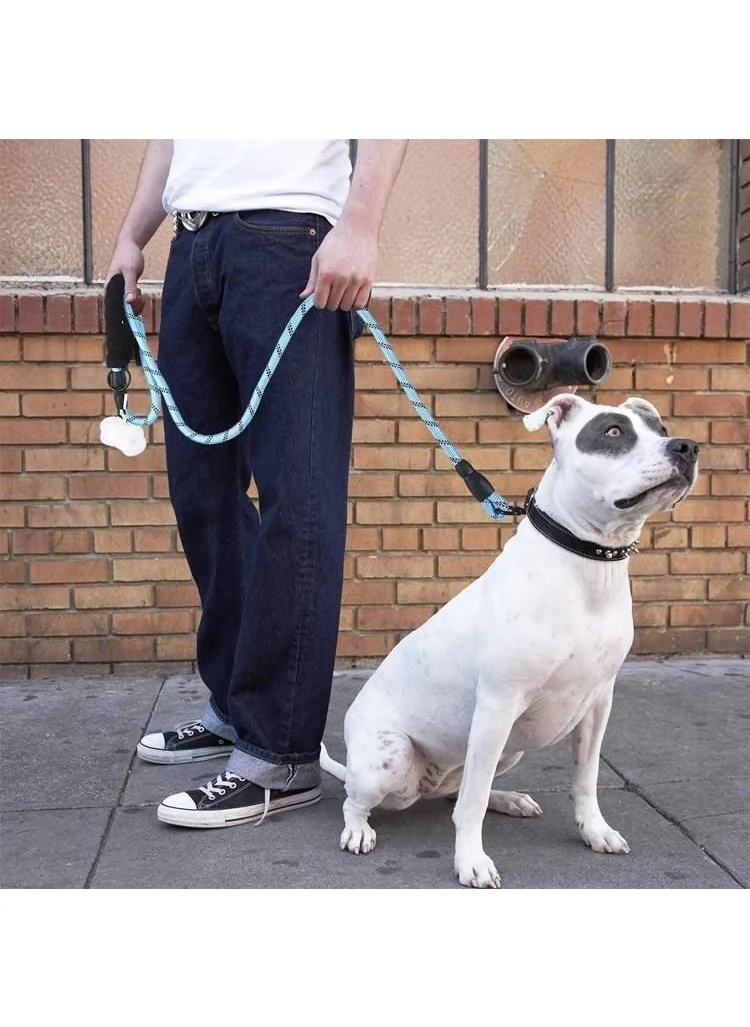 Lisinya Reflective Phosphorescent Dog Walking Rope Leash with Metal Hook 130 cm