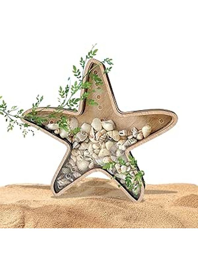 Starfish Shaped Clear Seashell Display Case Organizer For Home Decor - Image 1