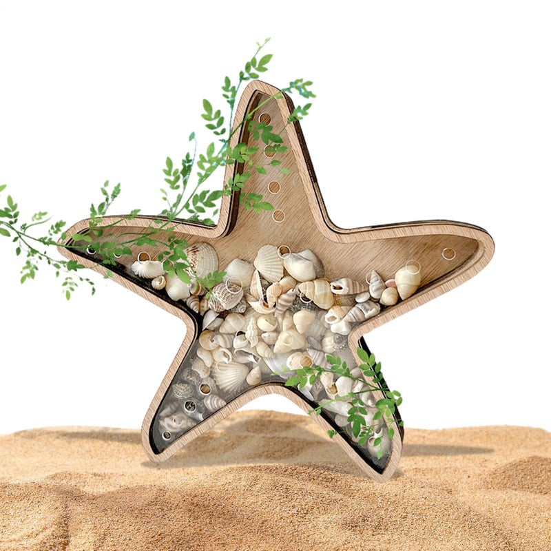 Starfish Shaped Clear Seashell Display Case Organizer For Home Decor - Image 2