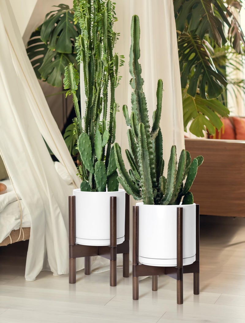 D'vine Dev Ceramic Planter with Walnut Color Stand - 8 Inch Modern Round Flower Pot with Wood Planter Holder, White, 55-B-Y-1 - Image 2