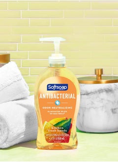 Softsoap Antibacterial Liquid Hand Soap, Kitchen Fresh Hand Soap, 11.25 Fl Oz (Pack of 6) - pzsku/Z7A86FAF74BEB09800D97Z/45/_/1740600150/64f013f0-1c6b-49b5-b400-7d769a0f3c98