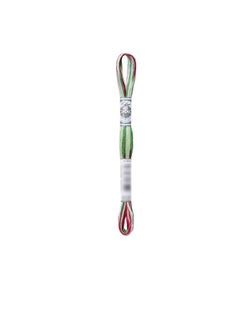 DMC DMC Color Variations 6 Strand Embroidery Floss 8.7 yard Very Merry  - Image 2