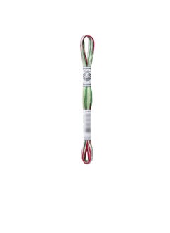 DMC DMC Color Variations 6 Strand Embroidery Floss 8.7 yard Very Merry  - Image 1