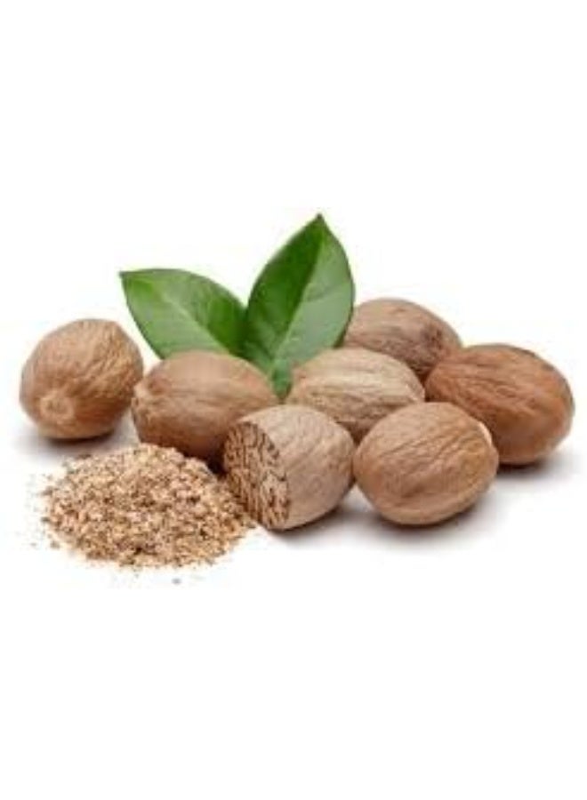 Sandy Foods Whole Nutmeg 100g – Whole Nutmeg, 100% Natural Spice, Strong and Distinctive Flavor, High Quality - Image 2