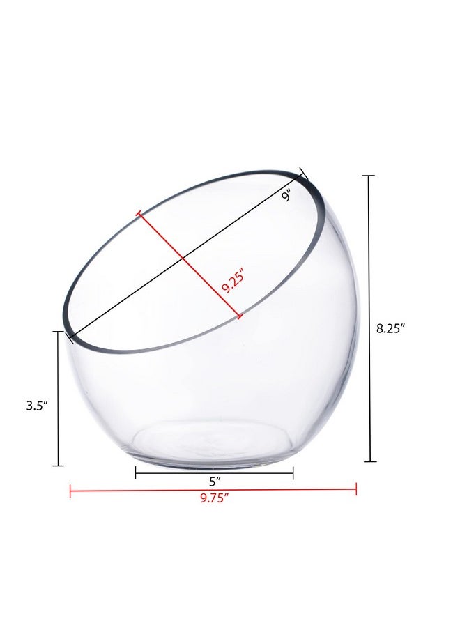 CYS EXCEL Glass Slant Cut Bubble Bowl (H-8" W-9") | Multiple Size Choices Slanted Globe Bowl Terrarium | Round Flower Vase Centerpiece  - Image 2