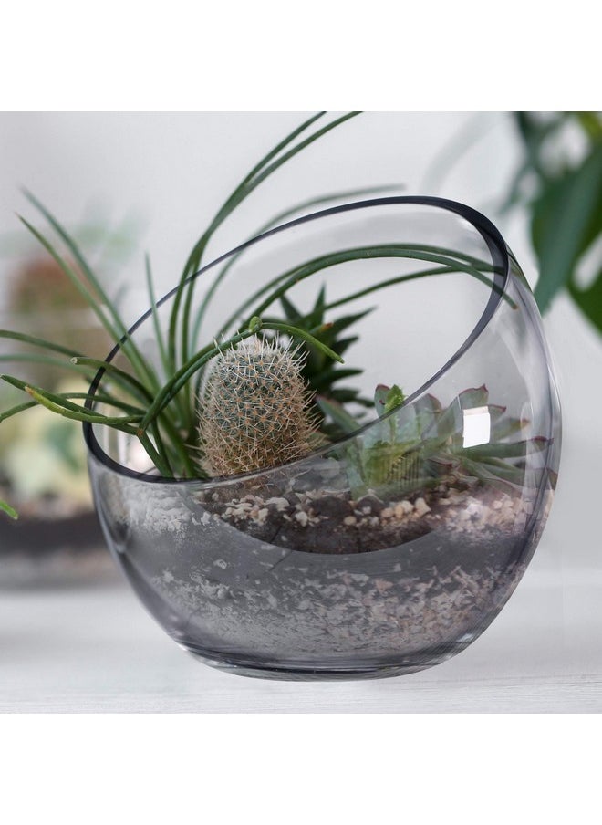 CYS EXCEL Glass Slant Cut Bubble Bowl (H-8" W-9") | Multiple Size Choices Slanted Globe Bowl Terrarium | Round Flower Vase Centerpiece  - Image 3
