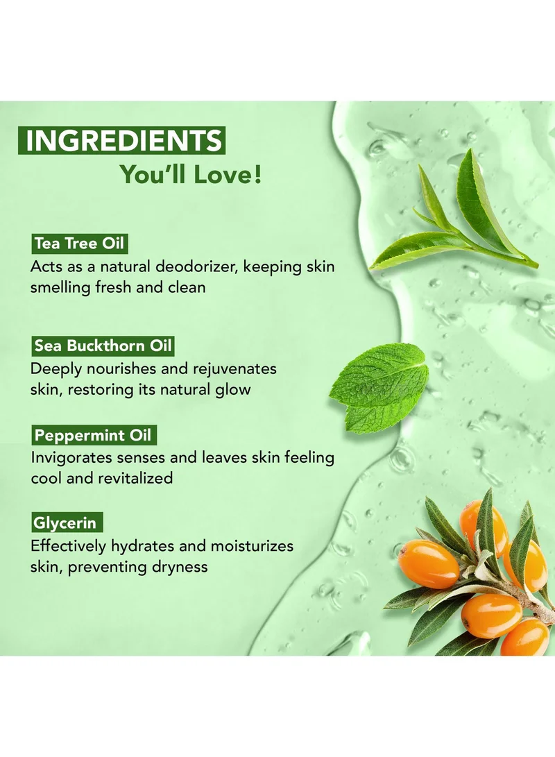 Botanic Hearth Botanic Hearth Tea Tree Body Wash with Sea Buckthorn Oil , Peppermint Oil | Detoxifies & Rejuvenates | Long Lasting Fragrance | Sulphate & Paraben Free | Shower Gel for Men and Women | 245ml