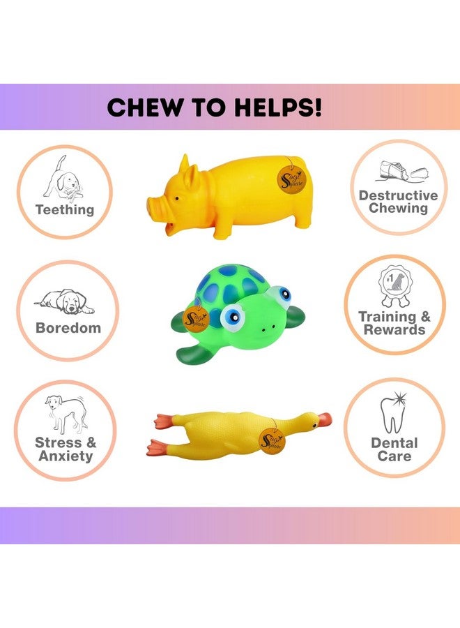 Sage Square Premium Squeaky Toy Set For Dogs - Durable, Chewable, Rubber Toys, Multiple Fun Shapes & Colors For Interactive Play, Teething Relief, Keeps Entertained, Happy (Combo No. 5) - Image 3