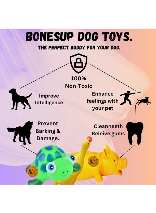 Sage Square Premium Squeaky Toy Set For Dogs - Durable, Chewable, Rubber Toys, Multiple Fun Shapes & Colors For Interactive Play, Teething Relief, Keeps Entertained, Happy (Combo No. 5) - Image 4