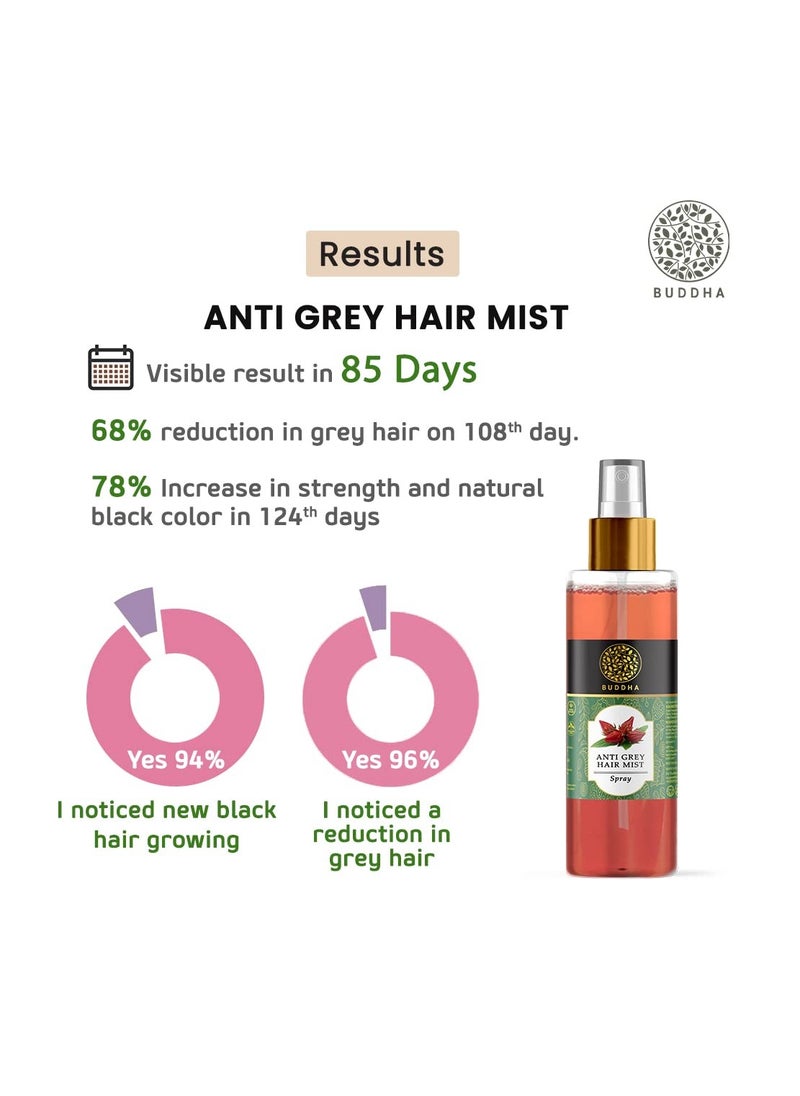 Buddha - Buddha Natural Grey Hair Mist 150 ml Heat UV Protection Mist Protect Natural Black Hair Color - Image 1