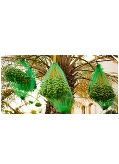 RACO Dates Cover Net Type 65x95 CM with Strong Black Rope, Date Palm Bag/Kajur Bag, Suitable for Protecting The Dates on The Tree. PACK OF 5  - Image 4