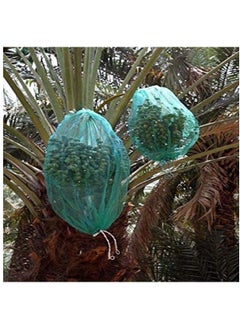 RACO Dates Cover Net Type 65x95 CM with Strong Black Rope, Date Palm Bag/Kajur Bag, Suitable for Protecting The Dates on The Tree. PACK OF 5  - Image 3
