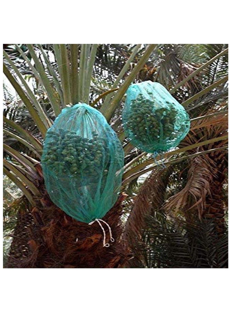 RACO Dates Cover Net Type 65x95 CM with Strong Black Rope, Date Palm Bag/Kajur Bag, Suitable for Protecting The Dates on The Tree. PACK OF 5  - Image 3