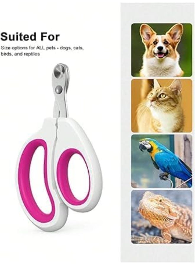 Pet Nail Clippers for Small Animals – Professional Grooming Scissors for Dogs, Cats, Birds & Reptiles – Safe, Sharp, Easy to Use – Ergonomic Grip & Stainless Steel Blades - Image 4