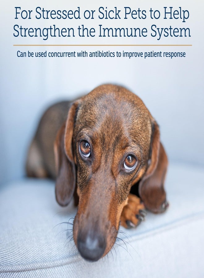 ركس فيتامينز مكمل غذائي Rx Vitamins لدعم المناعة، لدعم مناعة الكلاب والقطط - 60 قرصًا مع فطر شيتاكي، وأرابينوجالاكتان، ولوتين - - Image 3