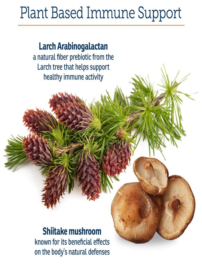 ركس فيتامينز مكمل غذائي Rx Vitamins لدعم المناعة، لدعم مناعة الكلاب والقطط - 60 قرصًا مع فطر شيتاكي، وأرابينوجالاكتان، ولوتين - - Image 4