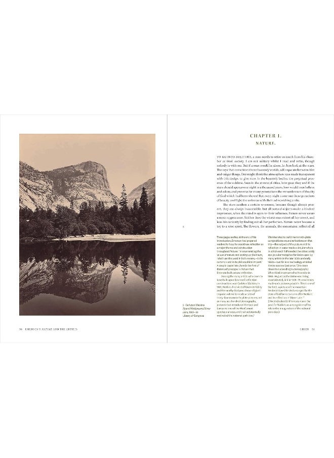 Emerson's Nature and the Artists: Idea as Landscape, Landscape as Idea  - Image 4