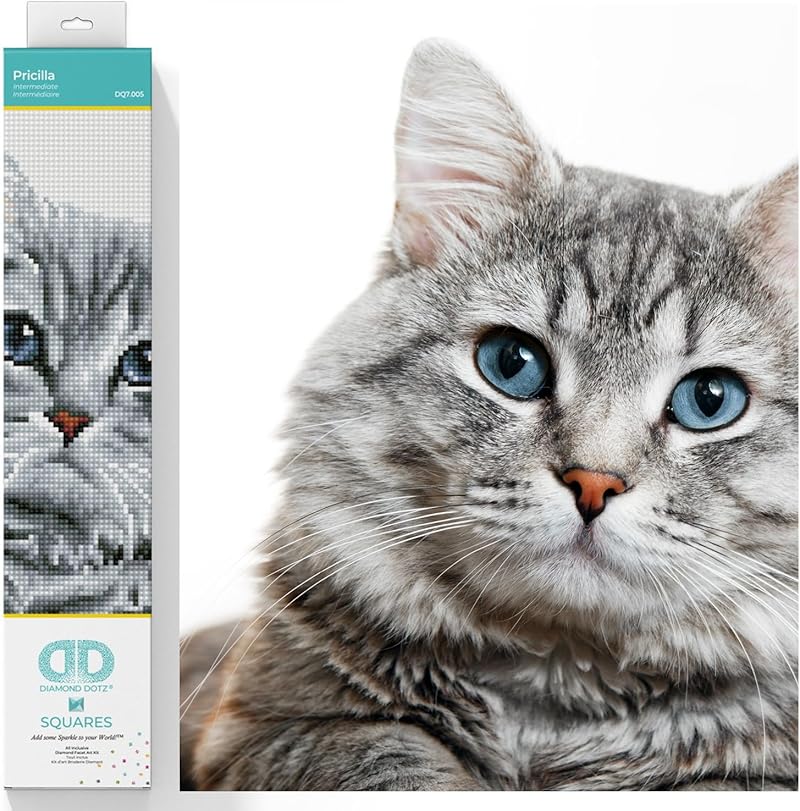 DIAMOND DOTZ Squares DQ7 Intermediate Kit, Colourful, 12.20" x 13.78"