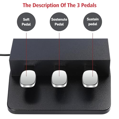 ATNEDCVH 3-Pedal for Digital Keyboard Piano,3 Pedal Unit Compatible for Yamaha DGX640,DGX650, DGX660,KBP500, KBP1000, KBP2000, KBP3000 Electric Piano - Image 2