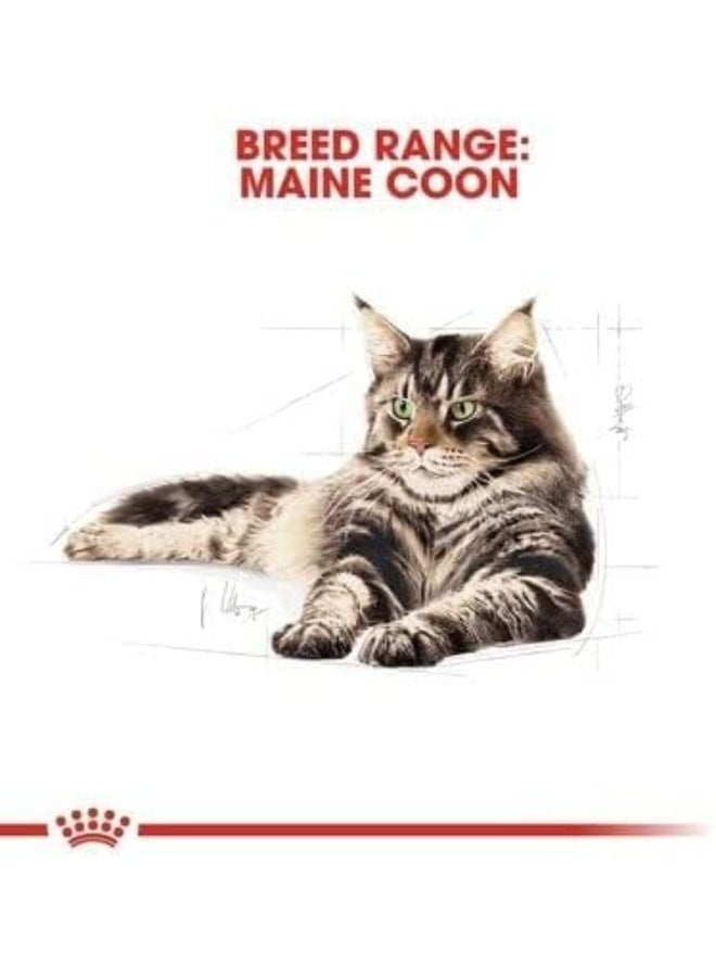 Royal Canin Feline Breed Nutrition Maine Coon Adult 2 kg - Image 3