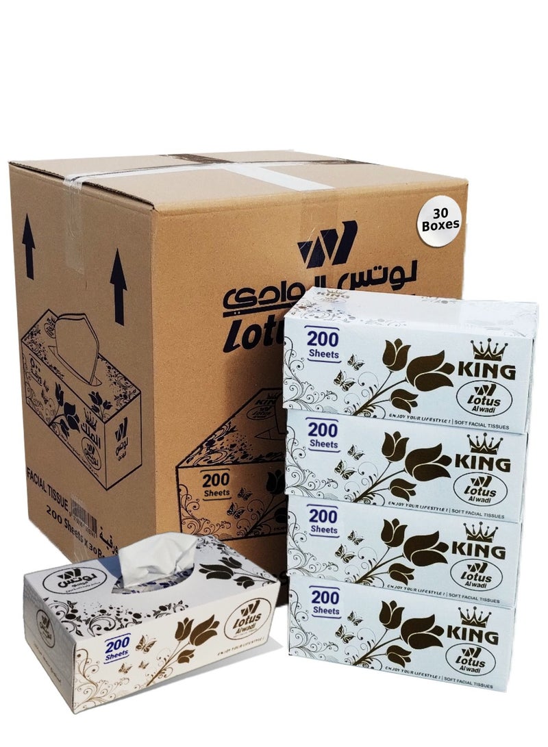 Lotus Alwadi 200 Sheet Soft Facial Tissues 2 Ply Bundle, 200 x 2 ply (6000 Facial Tissues Total) Family Pack - Lotus Alwadi  - Image 1