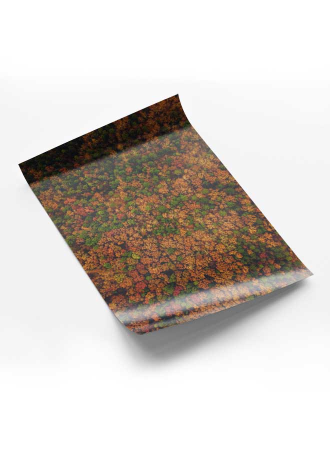 LOWHA Poster Painting Art With Four Separate Pieces Of Double-Sided Stickers Colored Forest Top View For Home Bedroom Living Room And Office Decor  - Image 1