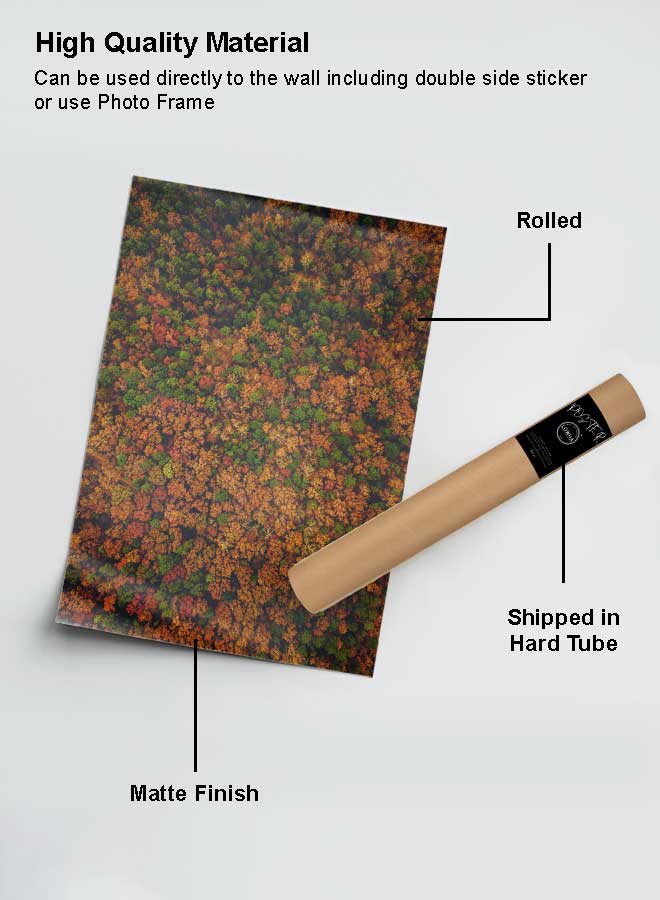 LOWHA Poster Painting Art With Four Separate Pieces Of Double-Sided Stickers Colored Forest Top View For Home Bedroom Living Room And Office Decor  - Image 2