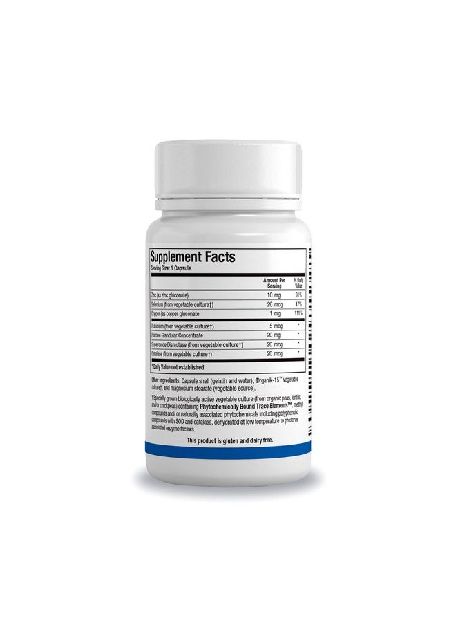 Biotics Research - Biotics Research GTA-Forte® - Endocrine Glands Support, Promotes Optimal Hormonal Balance. Contains Porcine Glandular, Phytochemically Bound Trace Elements™ Zinc, Selenium, Copper, Rubidium 90 Caps - Image 1