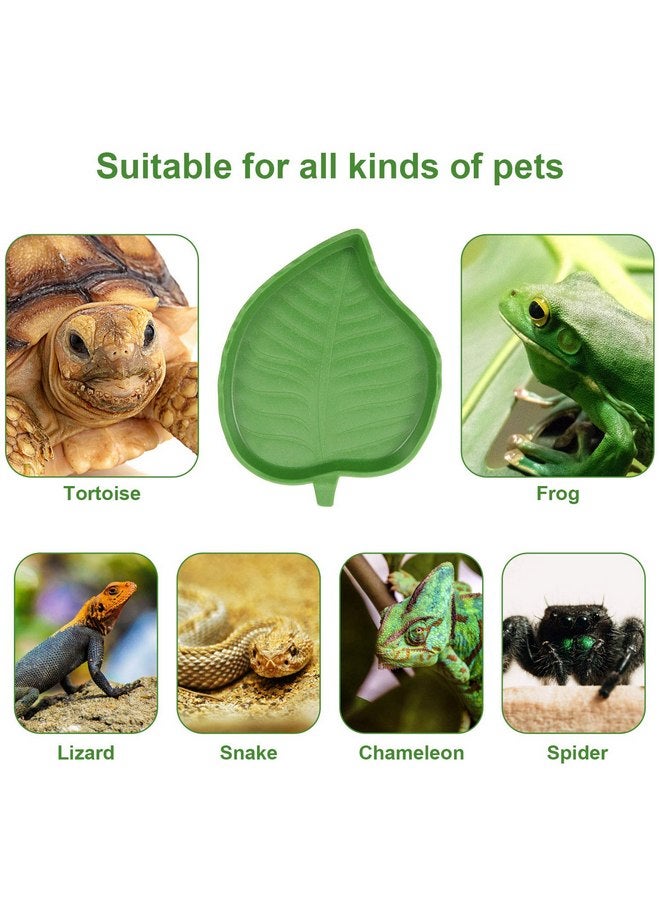BOAO Boao 2 Pieces Leaf Reptile Food Water Bowl Plate Dish for Tortoise Corn Snake Crawl Pet Drinking and Eating, 2 Sizes - Image 3