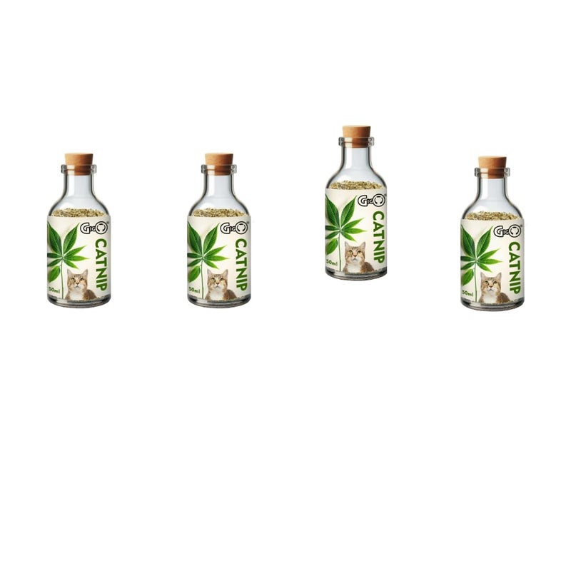 Gigo Catnip Value Pack (4 Bottles) – Premium Potent Catnip for Play Stimulation & Stress Relief | Multi-Cat Home Saver Pack - Image 1