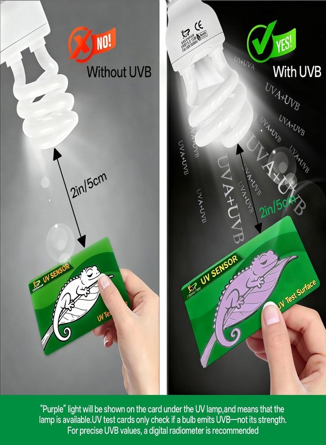 GREENPAW 15W UVB Reptile Light 5.0: UVB Light for Reptiles Tropical Subtropical - UVA UVB Reptile Light Bulb Safe - High Output UVB Bulb for Chameleon Turtle Gecko Snake Terrarium Lamp with Free UV Sensor Card - Image 2