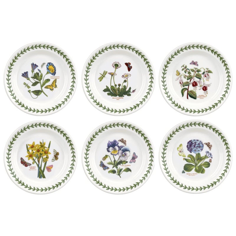Portmeirion Botanic Garden Side Plate  Set of 6 Appetizer Plates  Assorted Floral Motifs  Dishwasher Microwave  Oven Safe  65 Inch  Made in England