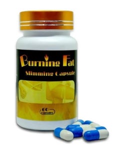 Fat burning capsules - 60 pcs - pzsku/Z7A9BAA275F8F34CBCDA0Z/45/_/1725983280/31b9ce41-efa6-46a1-b09e-79ec6d5dc0e0