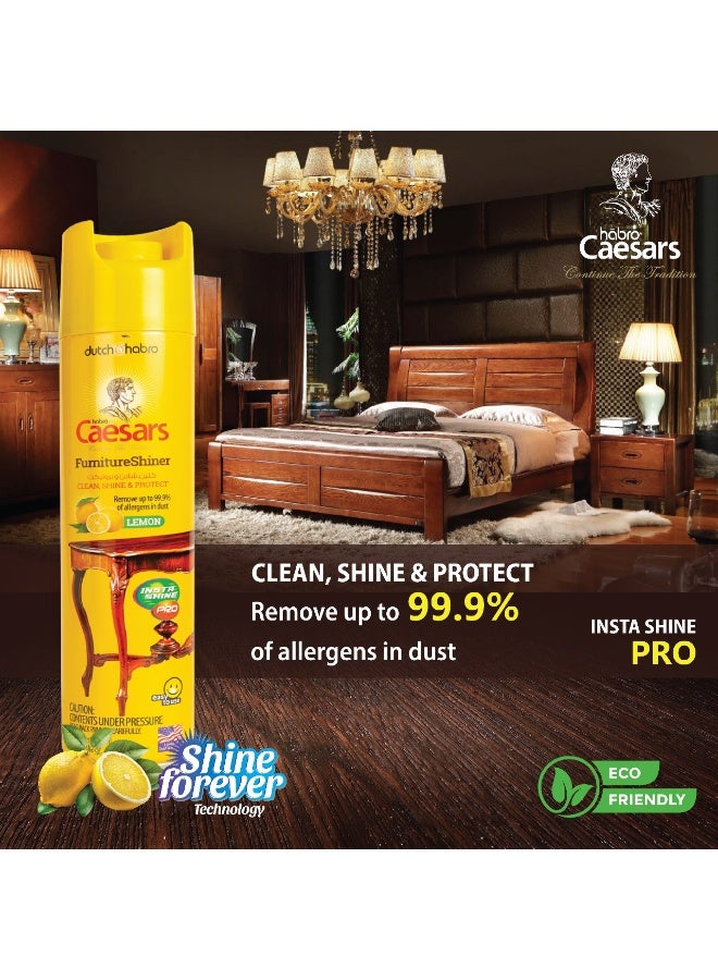 Caesars Furniture Shiner - Image 4