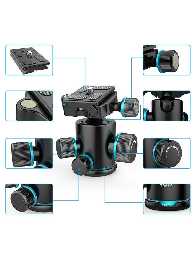 Andoer TB81X Tripod Ball Head 360 Degree Rotating Panoramic Ballhead  for Tripod Monopod Slider DSLR Camera with 3Pcs 1/4