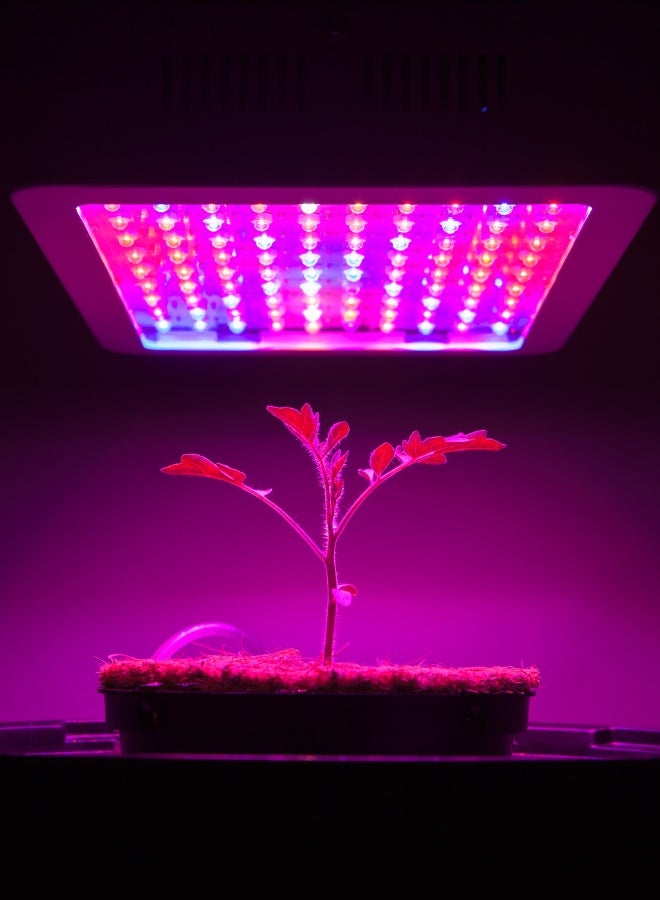 LED Plant Grow Light – Full Spectrum, Waterproof, High Power for Healthy and Rapid Growth - Image 2