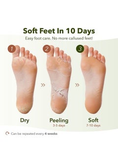 Purederm Multi Pair Foot Peeling Mask Set By Purederm Exfoliating Foot Peel Spa Mask For Baby Soft Skin Wsunflower Seed Oil & Lemon Extract(3Pair6Pair And 12Pair) (Pack Of 6)  - Image 4