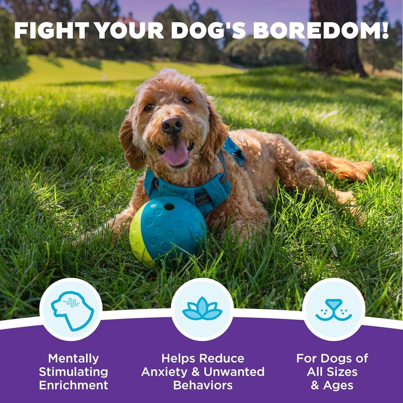 اوتورد هاوند Outward Hound Nina Ottosson Treat Tumble Blue Interactive Treat-Dispensing Puzzle Dog Toy, Small - Image 3