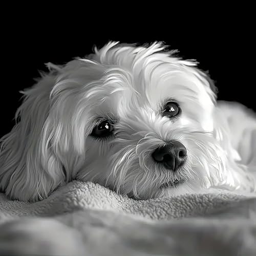 mrpwnle Dog Diamond Art Kits for Adults White Cute Dog Diamond Painting Kits for Adults 5D Diamonds Painting Kit DIY Full Round Drill Gem Art Crafts Kit Home Wall Decor Gifts 118x118inch - Image 1