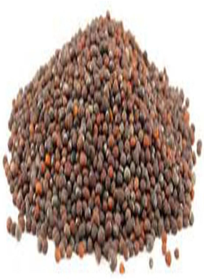 GGOOT Organic Non-GMO Broccoli  for Sprouting Sprouts Microgreens (8g of Pure Seed (40+)). Country Creek LLC. Brand.  - Image 3