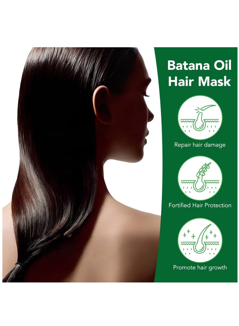 ALIVER 120 جرام قناع الشعر بزيت باتانا للإصلاح العميق، زيت باتانا يقوي ويغذي قناع الشعر المعالج العميق بالبيوتين وزيت الشعر لإصلاح الشعر الجاف التالف والمجعد لجميع أنواع الشعر - Image 5