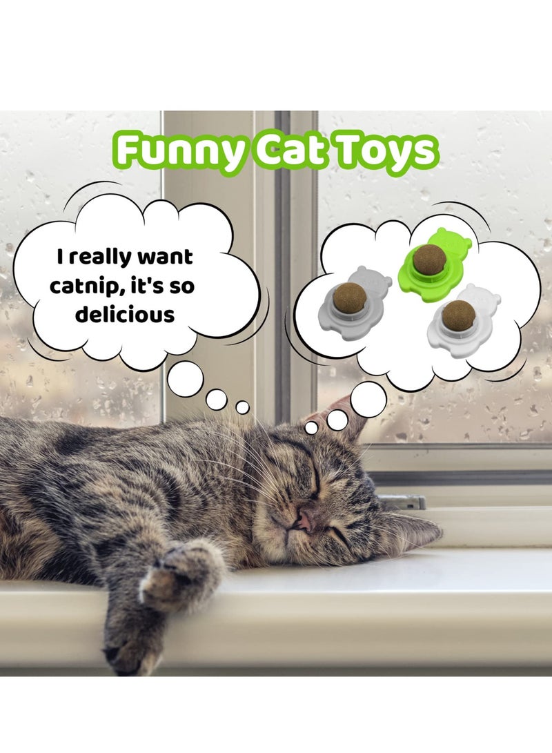 KASTWAVE 4 Pcs Catnip Ball Toy, Pure Natural Mint Leaves Rotating Interactive Cat Toys Cat Hair Ball Removal Toys Can Be Stuck on the Wall Safe and Healthy Kitten Chew Toys Teeth Cleaning Cat Supplies - Image 4