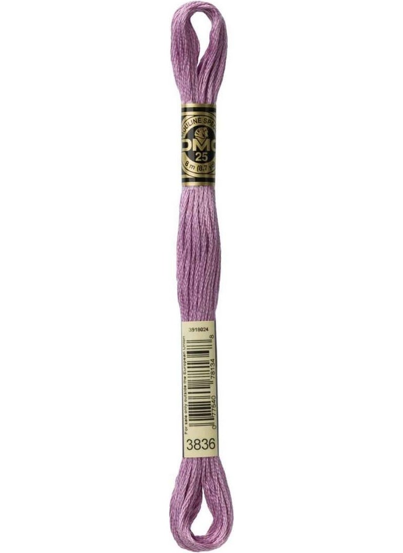 DMC Muline - Tapestry Embroidery Thread 8 Meters 3836 