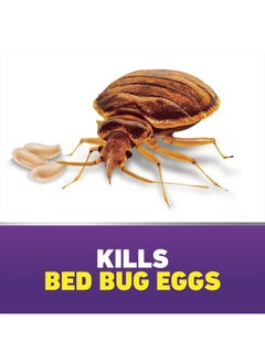 Ortho Home Defense Max Bed Bug Killer - Also Kills Fleas & Brown Dog Ticks, Spot Treatment, 18 oz  - Image 3
