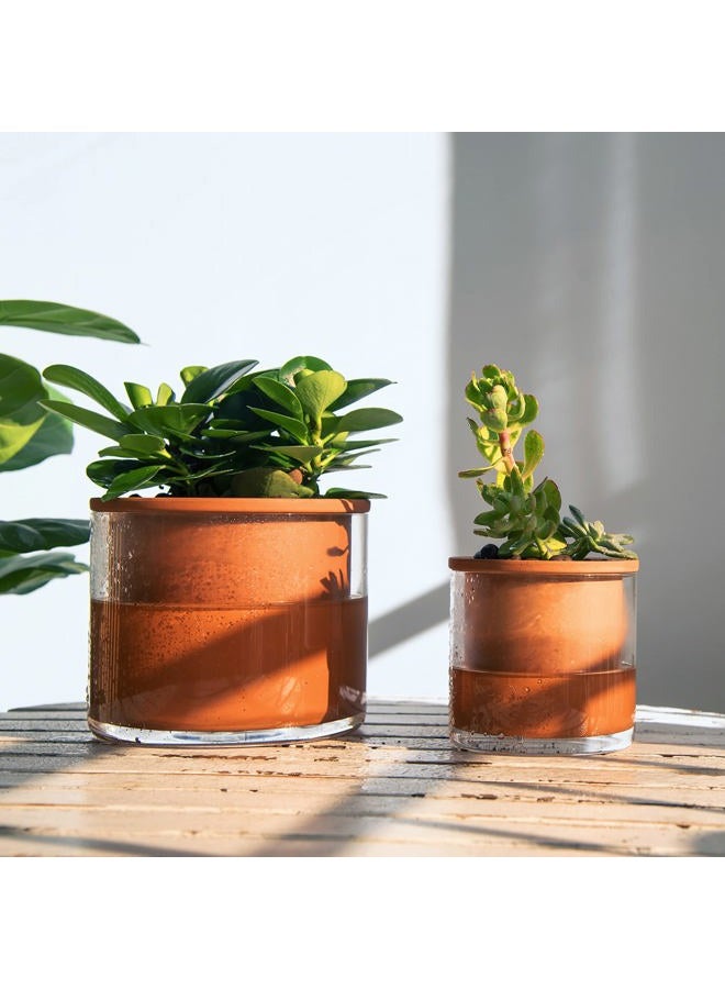 Phoenix Vine 4 Inch Self Watering Plants Pot, Design Terracotta Pot for Plants, Indoor Cylinder Terra Cotta Planter with Glass Vase, Set of 4, 51-A-E-4 - Image 5