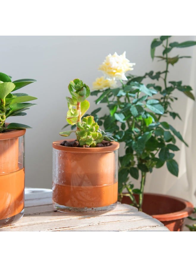 Phoenix Vine 4 Inch Self Watering Plants Pot, Design Terracotta Pot for Plants, Indoor Cylinder Terra Cotta Planter with Glass Vase, Set of 4, 51-A-E-4 - Image 2