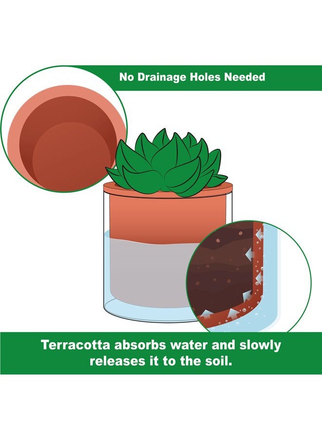 Phoenix Vine 4 Inch Self Watering Plants Pot, Design Terracotta Pot for Plants, Indoor Cylinder Terra Cotta Planter with Glass Vase, Set of 4, 51-A-E-4 - Image 4